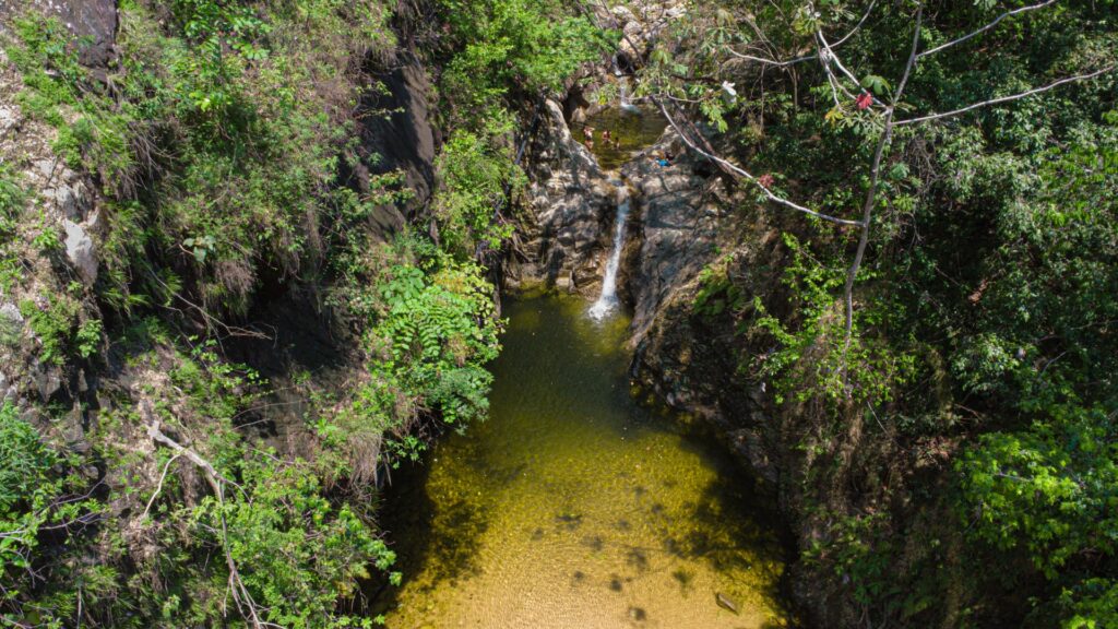 Gallery of Exploración de Cascadas en la  Jungla