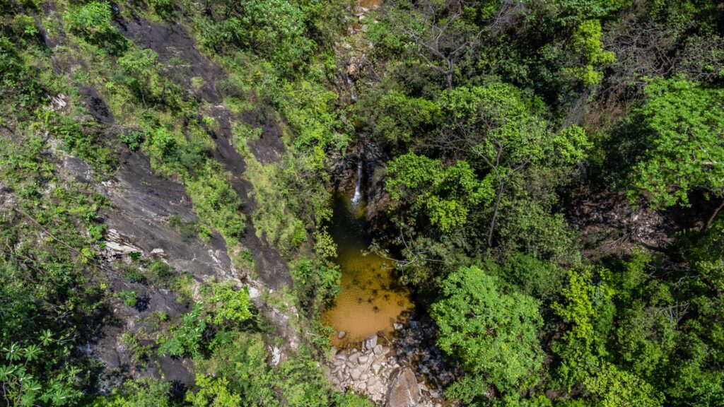 Gallery of Exploración de Cascadas en la  Jungla