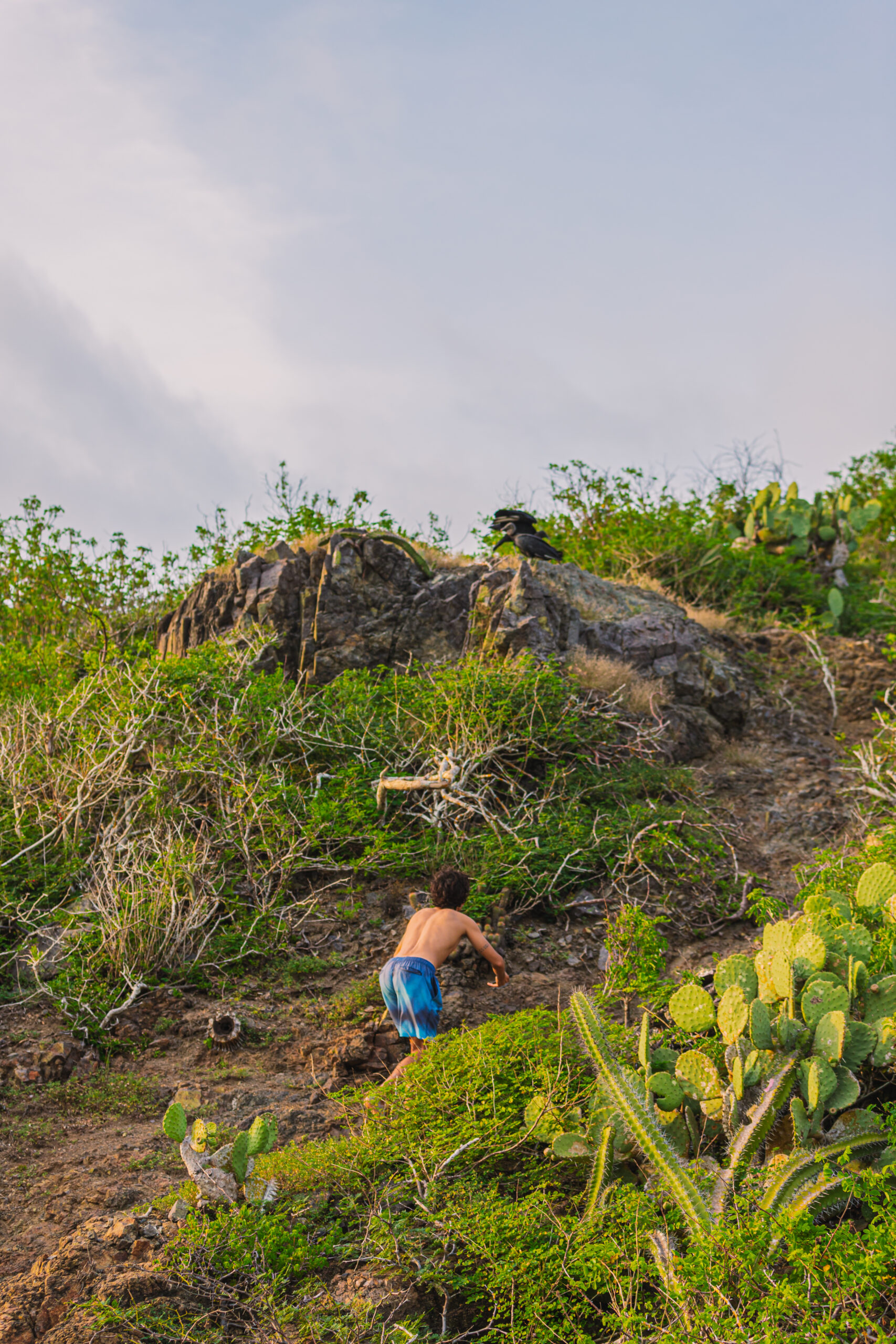 Gallery of Hidden Beaches Hike & Coastal Boat Ride