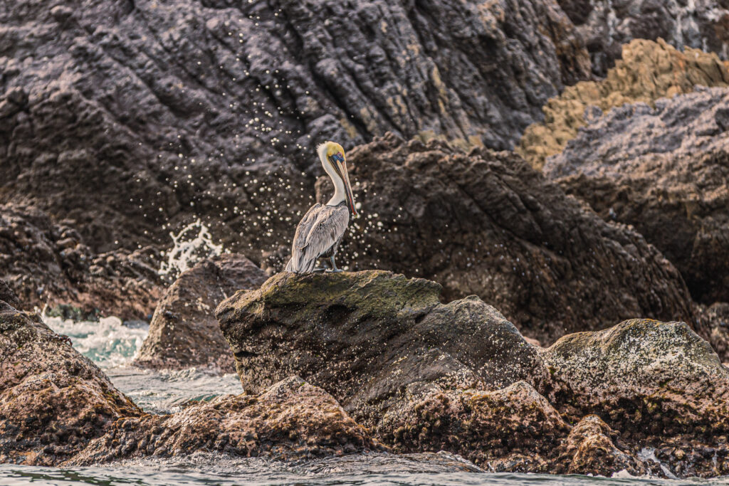 Gallery of Hidden Beaches Hike & Coastal Boat Ride