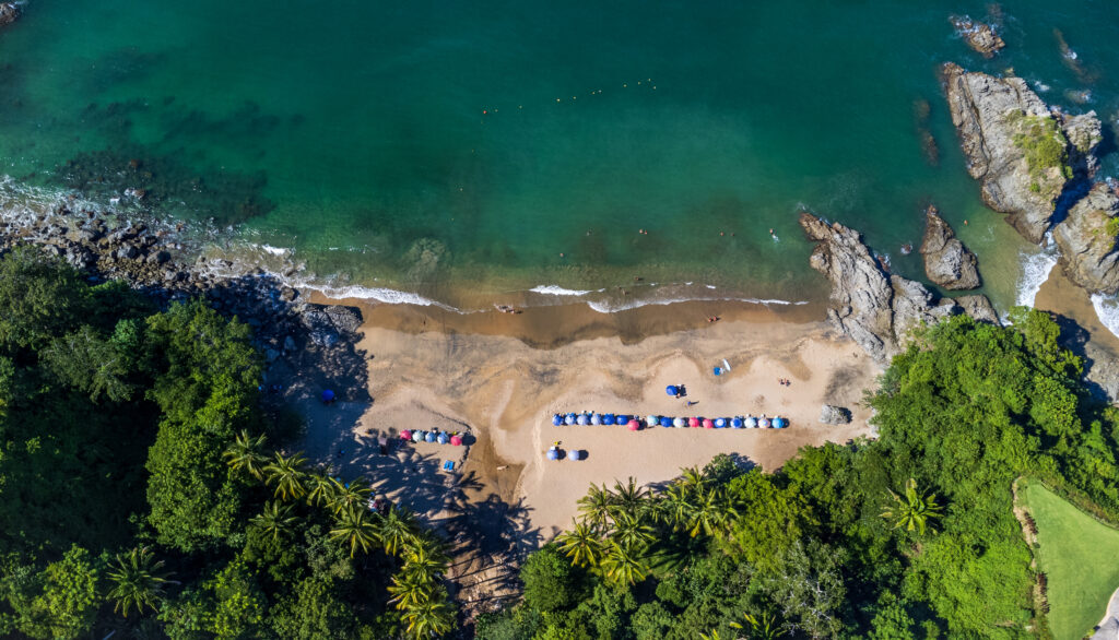 Gallery of Sayulita, Escapada a la Jungla & Pueblo Local